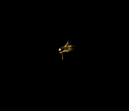 技能素材技能素材0042