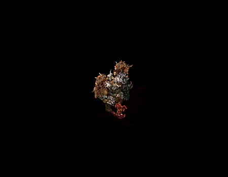 怪物素材怪物素材0580(自定义)