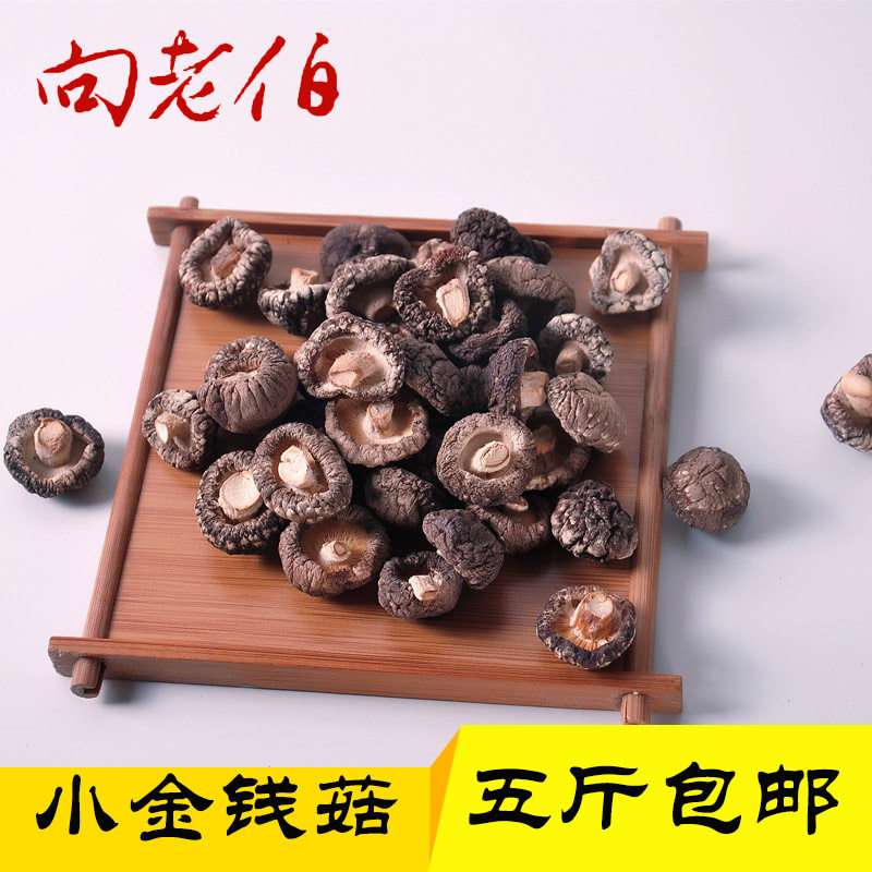 Old Uncle Wild Money Mushroom Farmer's Small Shiitake Dried Mushroom Winter Mushroom Pearl Mushroom New 500g