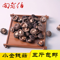 To the old man wild little money mushroom farm small mushroom dry goods small Mushroom mushroom Pearl mushroom new 500g