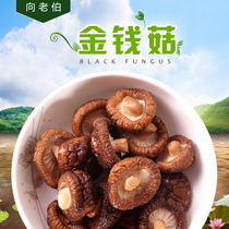 To the old man jin qian gu small mushrooms dry mushroom farm mushrooms dry thick rootless 250g