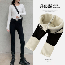 Extra thick northeast lamb wool magic pants women autumn and winter wear high waist ultra-thick leggings warm pants plus velvet thickened