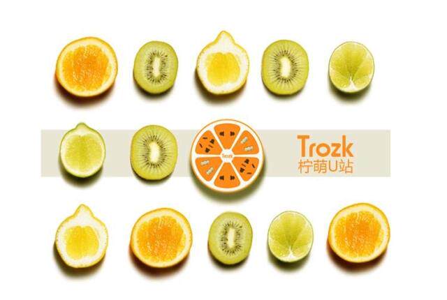 chargeur ELEMENTCASE - Ref 1293844 Image 5