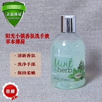 Beauty Pleasure Home Sunny Town Scented hand sanitizer-Fresh mint hand sanitizer 237ml 179