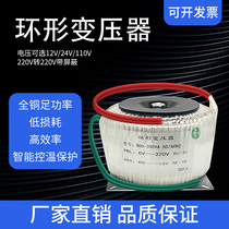 200v to 110v 24v isolated audio bile machine ring type stepper ring cow power amplifier Toroidal transformer 200w300