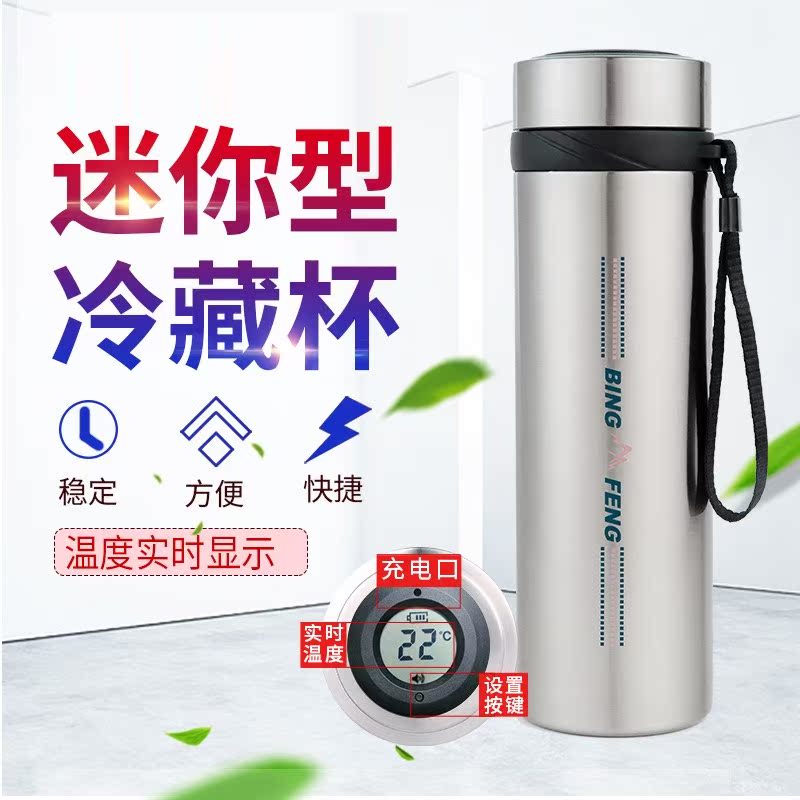 100 CONSTANT XX INSULIN REFRIGERATED BOX PORTABLE MINI BAG NOT CHARGED MEDICINE REFRIGERATION SMALL FRIDGE WITH CONSTANT TEMPERATURE MUG
