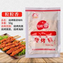Grain Grain Savory Barbecue Refined Barbecue Seasonings Powder 3-5 Taste Industry Harbin Special Delicious Flavor Fresh ten Bag