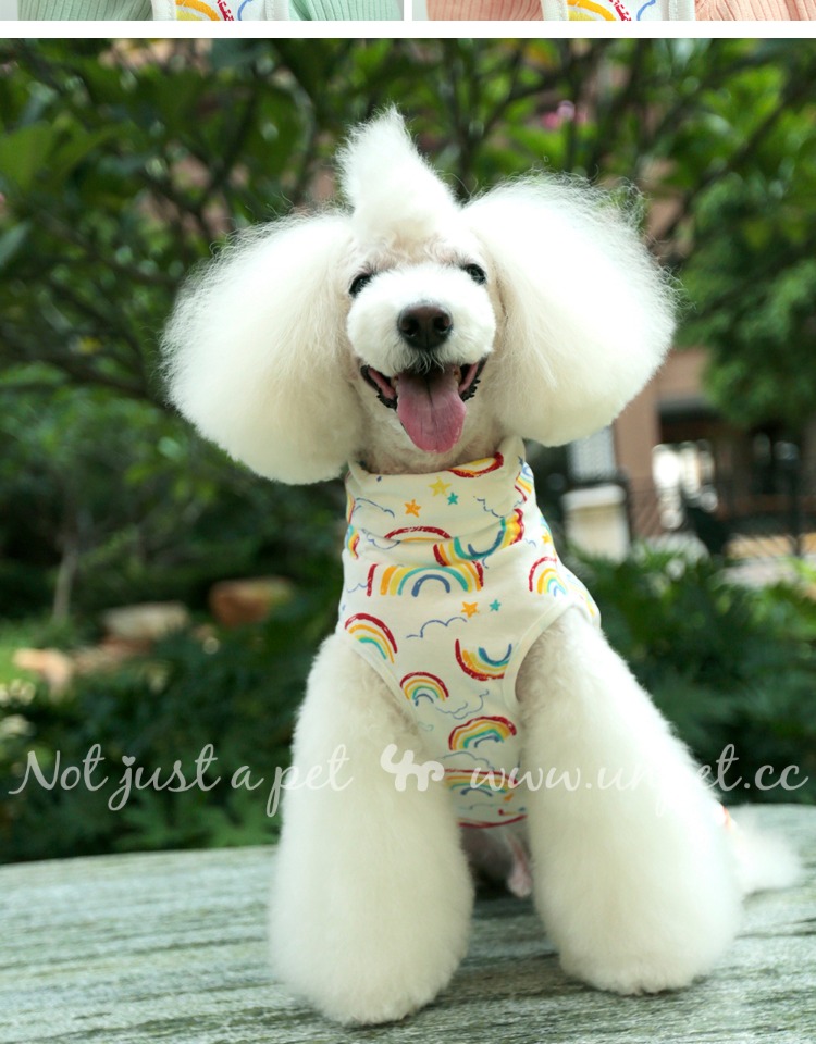 UNPET Breguet Dog Dress Rainbow Rainbow Bộ đồ ngủ bốn mảnh xếp chồng áo tank top - Quần áo & phụ kiện thú cưng mũ cho mèo