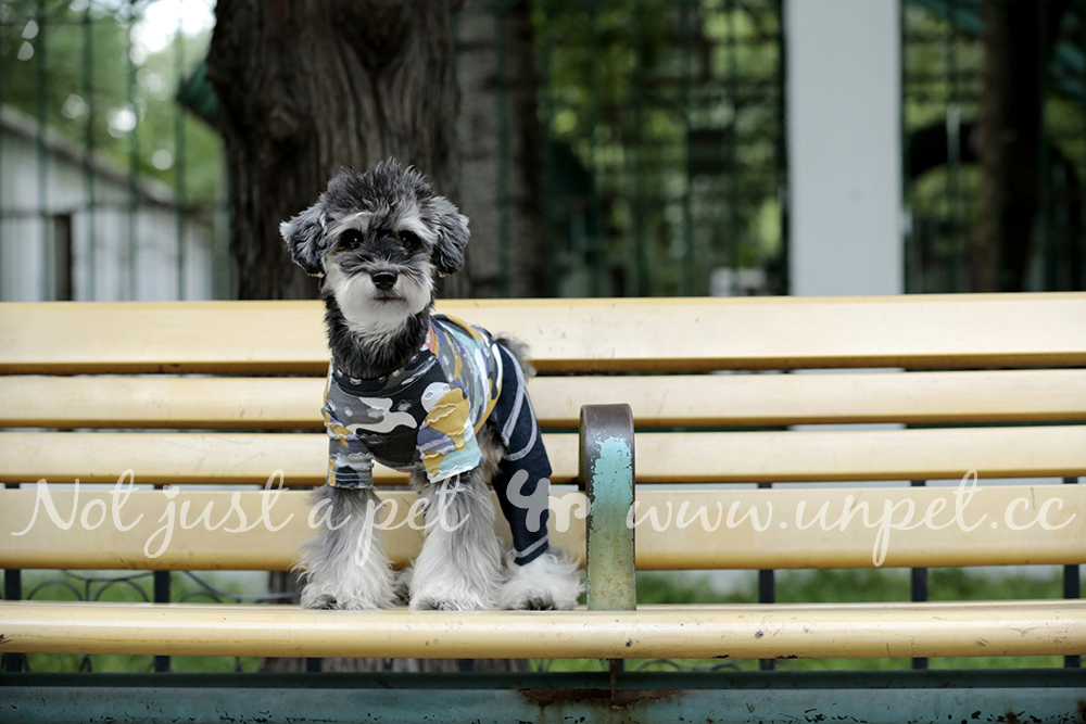 UNPET Breguet Pet Dog Dress Summer Dress Casual Teddy Bear Bear Ngụy trang Áo thun thể thao ngắn tay - Quần áo & phụ kiện thú cưng áo cho poodle