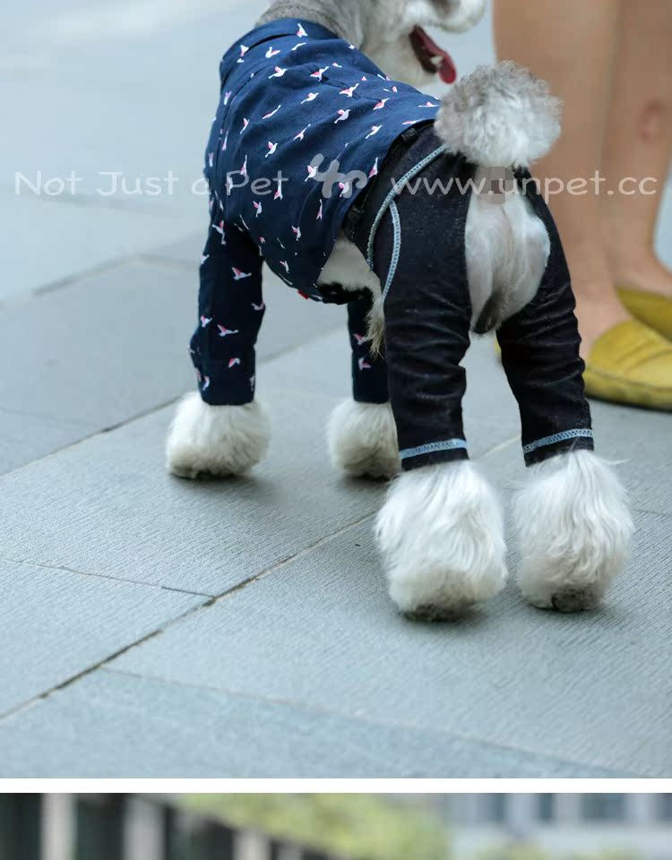 UNPET Breguet Pet Quần áo Teddy Schnauzer Wild England Áo dài tay Bird Cotton Royal Blue Shirt - Quần áo & phụ kiện thú cưng quần áo cho chó con