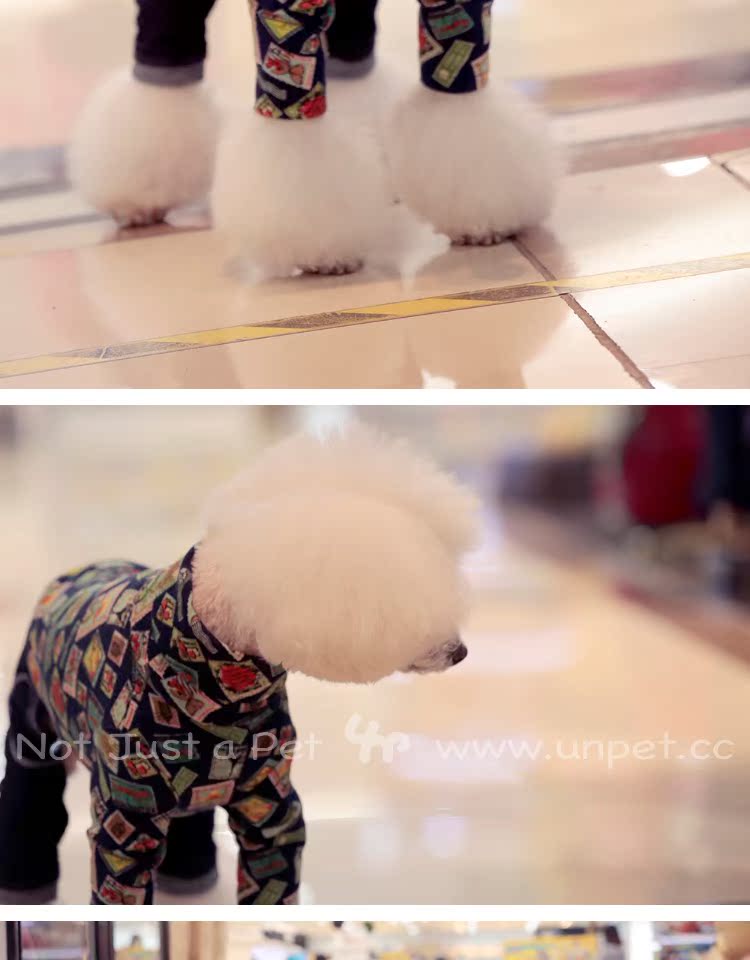 UNPET Breguet Pet Dog Dress Nhật Bản Cổ áo cao cổ áo sơ mi dài tay áo thun tem Doodle mẫu cá tính - Quần áo & phụ kiện thú cưng áo múa lân cho chó