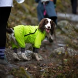 Дороги с домашними животными заряжают плащ с четырьмя направлениями, всеобъемлющими для собак, гончики, покрывающие биана бияна бияна бияна демонов и собачья одежда