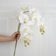 PU手感白色蝴蝶兰仿真花假花单枝楼盘酒店前台室内摆件客厅装饰花