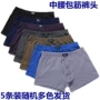 Đàn ông trung niên và lớn tuổi cotton kích thước lớn cha boxer đồ lót nam trung niên ông già quần lót quần sịp doremon