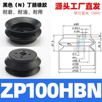 ZPT100HBN