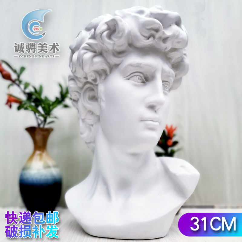 David plaster statue 31 cm plaster head sculpture Plaster sculpture sketch Plaster head model decorative decoration