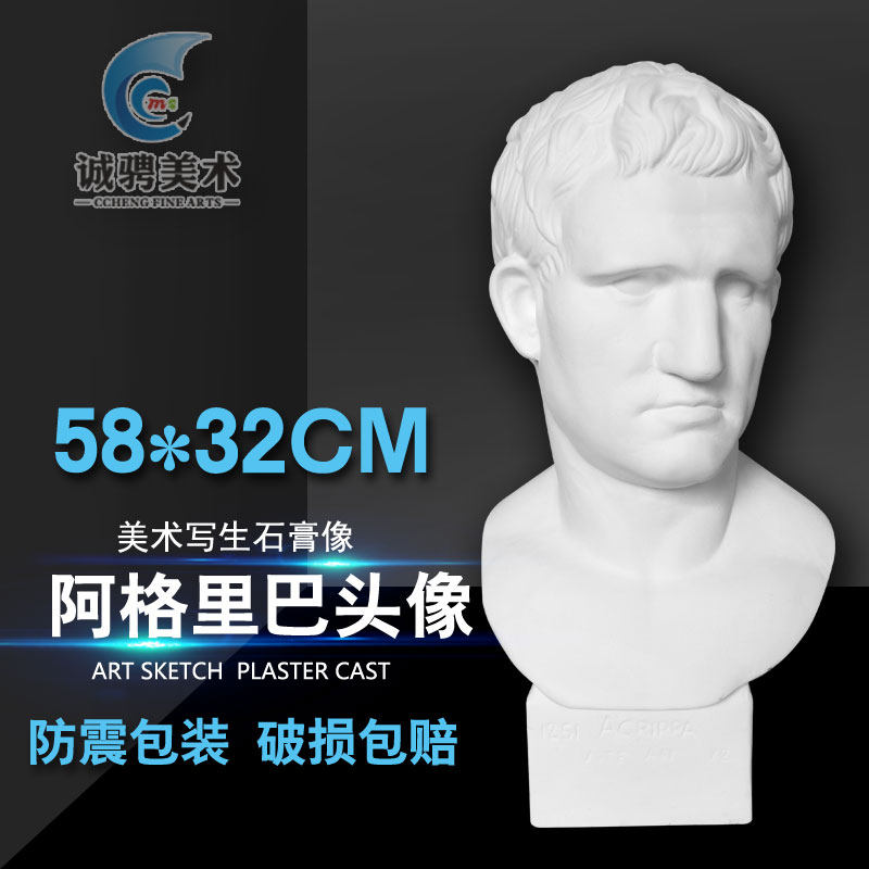 Agriba plaster like fine art static model plaster teaching aids supplies hem Agribar plaster like a pendulum