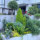 Римский сад цветочное зеркало изготовленный на заказ балкон садовый дворик цветочная коробка общий дизайн цветочный ландшафт изготовленный на заказ неприхотливый в обслуживании цветочный ландшафт mini 0