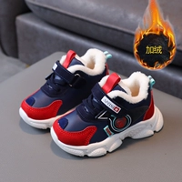 036 Deep Blue Plus Hettk Show