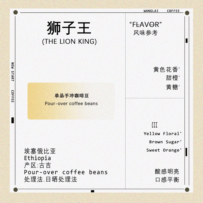 Interchange Coffee / Ethiopia Lion King / Sweet Orange Brown Sugar Sun-Dried / Coffee Beans and Coffee Powder