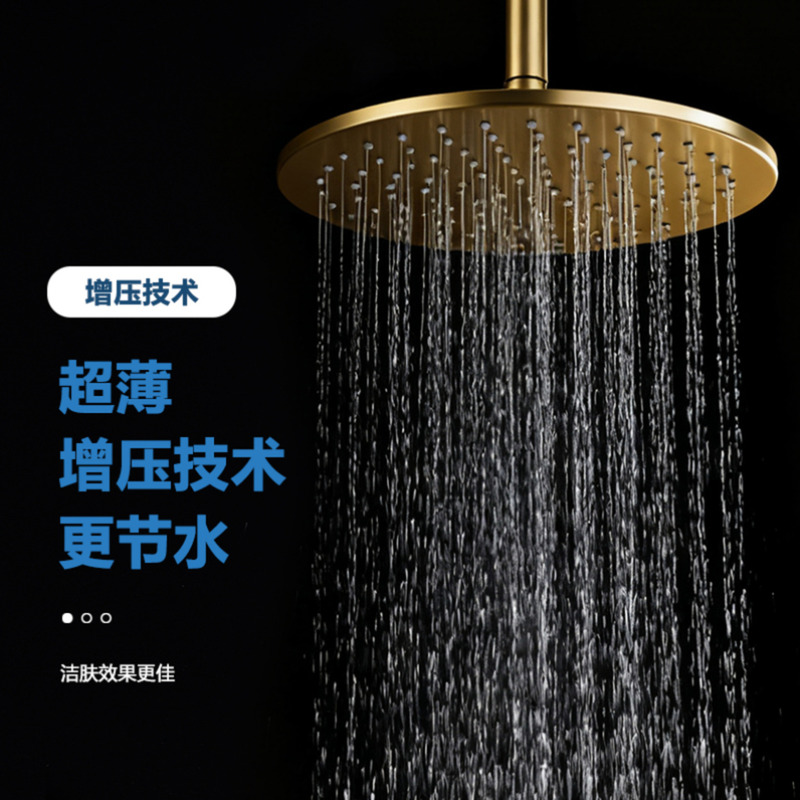 German Brushed Gold Full Copper Pressurized Shower Head Single Head Spray for Home Bathing