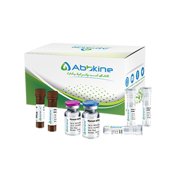 双荧光素酶报告基因检测试剂盒 货号KTA8010-100T Abbkine/亚科因