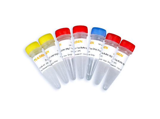 DNA聚合酶 Taq DNA Polymerase 货号10101ES80 翌圣生 1000U/包