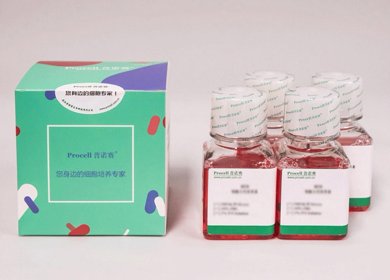 BT-549细胞专用培养基 Procell/普诺赛 货号CM-0041