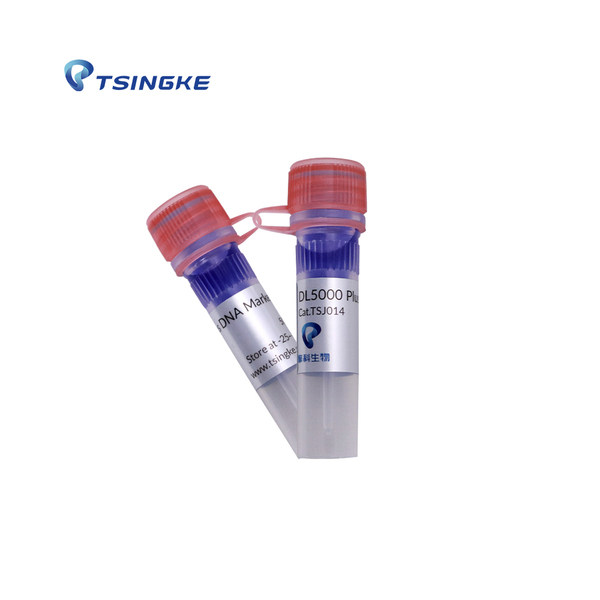 DL5000 Plus DNA Marker 货号TSJ014-100 擎科生物
