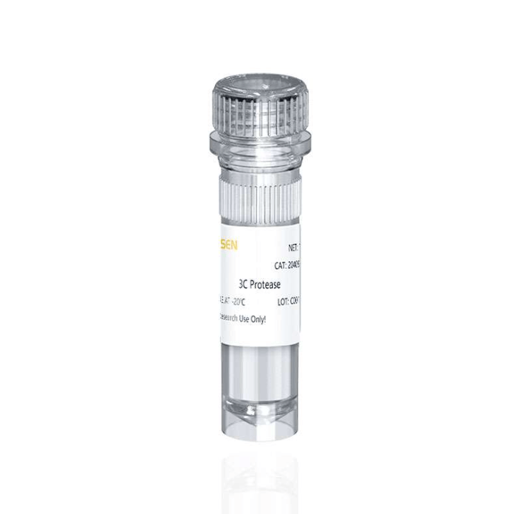 3C Protease 3C蛋白酶 YEASEN 500u 货号20409ES76