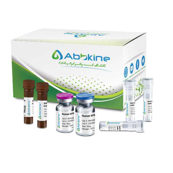 蛋白酶抑制剂套装 货号BMP1001-1ml 亚科因