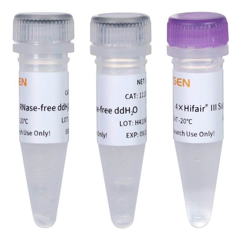 Hifair lll1st Strand cDNA Synthesis SuperMix 11137ES10 翌圣