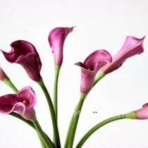 ins high quality Calla Lily simulation flower pugum Calla Lily home B & B restaurant table meeting fake flower