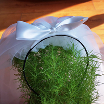 Baby short hair hoop veil childrens birthday photo props Super fairy princess short hair bow hair bow puffy headdress