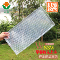 Plastic rice raising rice seedling tray 9 inch machine insert flat pan transparent level material machine transplanting rice seedling tray rice seedling tray