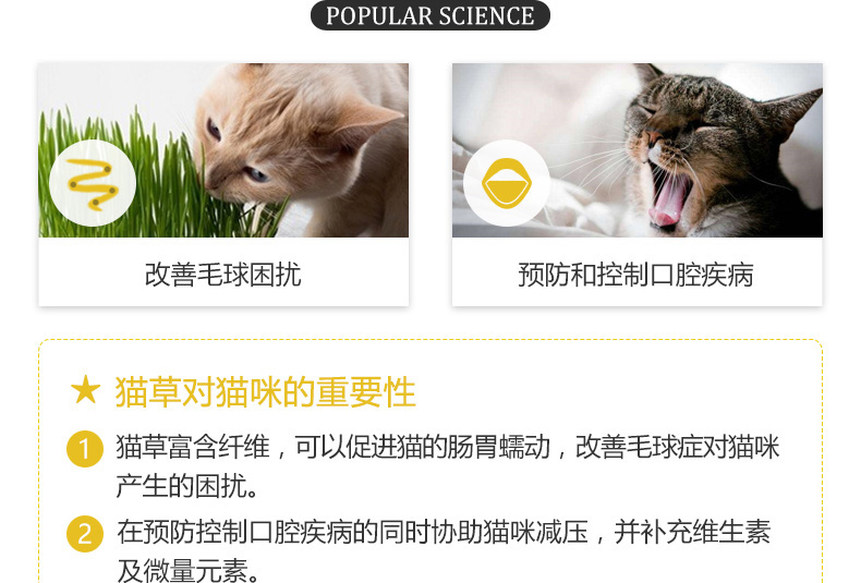 Đêm hè Gimpet Đức Junbao Cat Grass Cream Hair Cream Cream 50g - Cat / Dog Health bổ sung sữa cho chó con