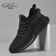 Shachi Men's Shoes 2025 New Autumn Fly-Knit Mesh Shoes Black Versatile Soft-Soled Comfortable Sports Casual Travel Shoes