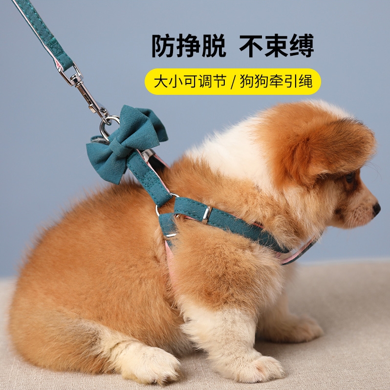 Dog leash vest type dog leash dog chain Teddy corgi bear small and medium-sized dog chest hold baby bag walking dog leash