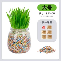 [Негативная ионная стеклянная бутылка для кошачьей травы]-Large (3 упаковки семян)