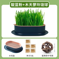 Нет земной гидропонный синий порошок [дайте 5 упаковок семян]+мумо -лианю линглонги (Cat Mint)