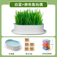 Нет гидропоновой почвы белый и синий [дайте 5 пакетов семян]+игрушечный шарик