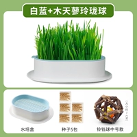 Нет гидропонового и синего почвы.