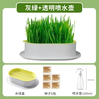 Нет землистого гидравлического серого зеленого+распылительный чайник 【Дайте 5 упаковок семян】