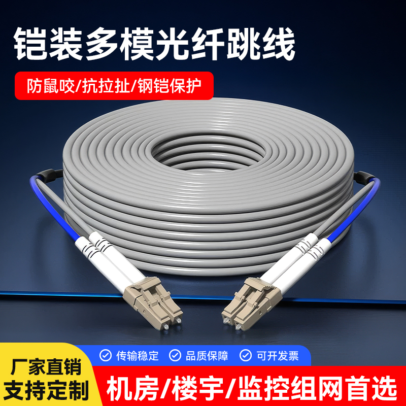 Armored Multi-Mode Fiber Optic Patch Cord Lclc to Scfc-St Dual-Core Single 4-Core Optical Cable Indoor and Outdoor Fiber Optic Tail Fiber