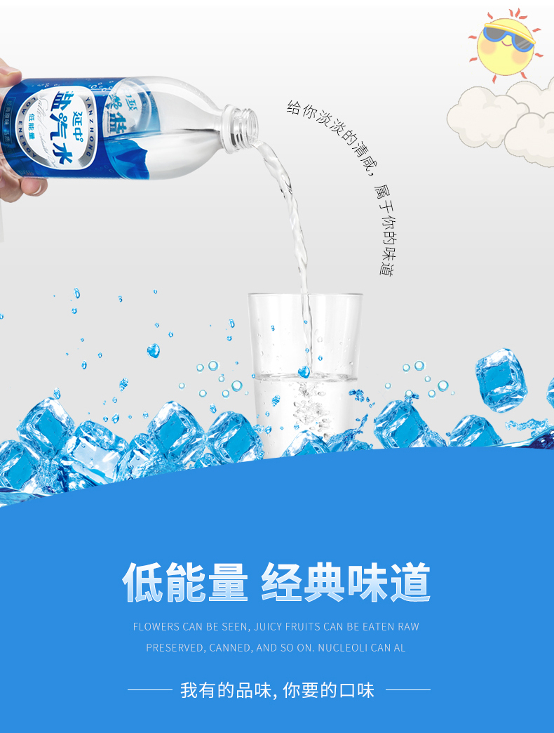 延中上海盐汽水600ml*12瓶/箱