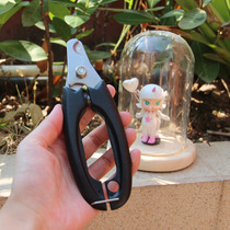 Japan Dogge Pet Kitty with nail clippers with nail clippers elbow pets for large dogs with nail clippers universal