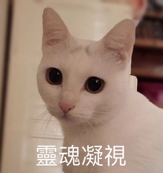 Ouqi cat big pet deworming adult cat dog and kitten snacks 3 months one eat big collection whole box internal drive package