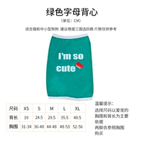 Зеленый жилет