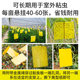 Yellow Sticky Insect Trap Board, Double-Sided Insect Trap Board, Specialized for Greenhouses, Fly-Killing Sticky Board, Fruit Fly and Mosquito Trap for Orchards and Gardens