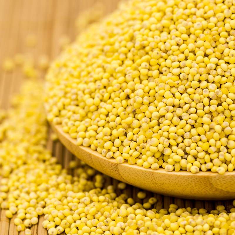 Jiugu Garden's new product, rhubarb rice, 360g glutinous rice, sticky millet, glutinous millet, coarse cereals, zongzi rice, rice cake